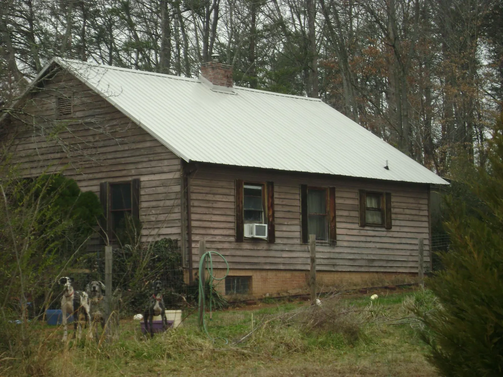 White metal roof on an old wood sided farmhouse, from a Metal Roof Installation job in Knotts Island